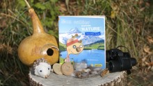 Livre "Mon cahier d'activités nature automne hiver" sur un tronc coupé avec des créations nature et une paire de jumelles