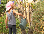 Photo d'une petite fille en train d'arroser un arbre