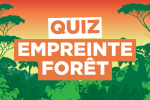 © Envol Vert Illustration colorée d'une forêt avec le titre "Quiz Empreinte Forêt"