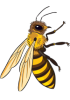Illustration d'abeille