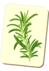 Carte à jouer avec une branche de romarin