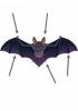 Illustration d'une chauve-souris avec des flèches qui pointent vers des parties de son corps