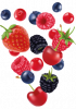 Illustrations de myrtilles, groseilles, mûres, cerises, framboises et fraise