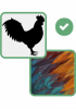 silhouette de coq, photo de plume de coq et coche dans un cercle vert