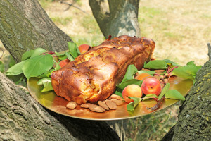 Cake sur une assiette dorée posé dans un arbre avec des abricots et des amandes autour