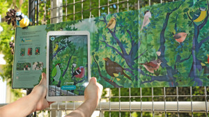 Des mains tiennent une tablette devant l'exposition présentant des dessins d'oiseaux dans un arbre