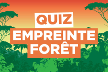 Illustration colorée d'une forêt avec le titre "Quiz Empreinte Forêt"