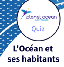 Page de titre du quiz, avec le logo Planet Ocean (une fusée-raie, mi animale mi objet) en haut à gauche dans un cercle 