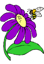 Abeille près d'une fleur